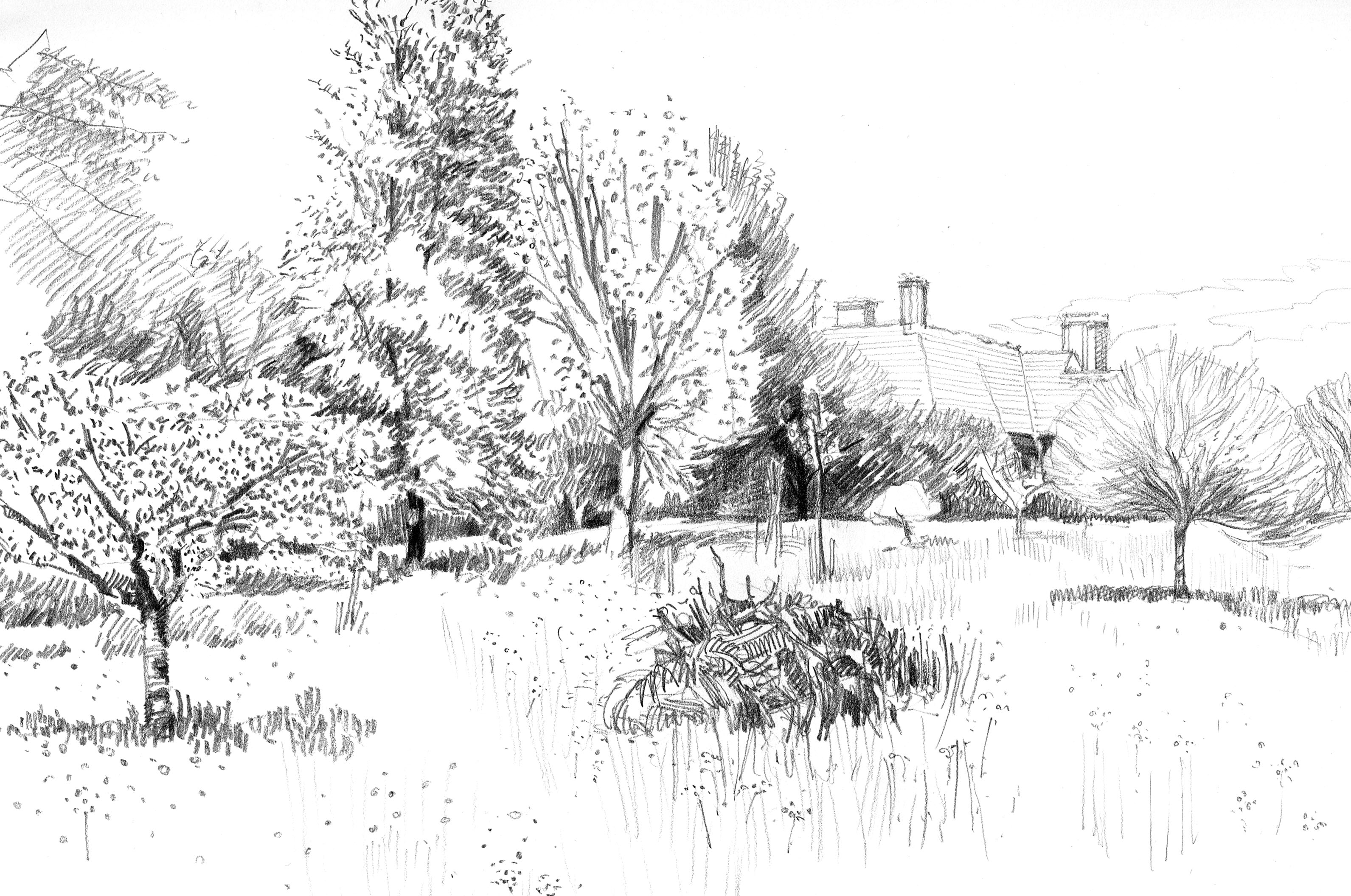 Great Dixter garden sketchbook May | anny evason artlog